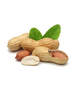 Pasta pura di Castagne